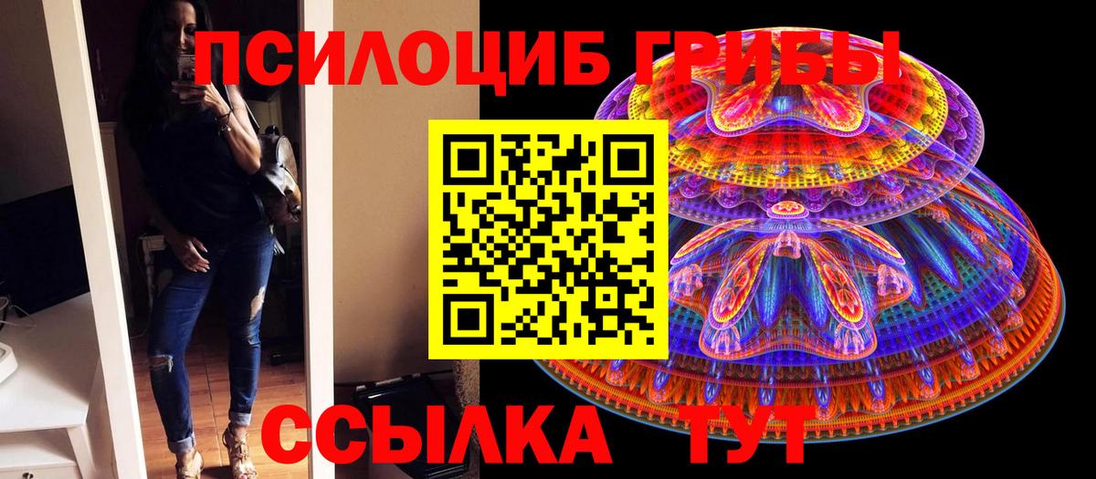 Галлюциногенные грибы Psilocybe Благодарный